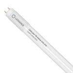 Ledvance LED Buis T8 Value (UN) High Output 18W 1850lm - 830 Warm Wit | 120cm - Vervangt 36W