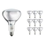 Voordeelpak 10x Philips R125 IR 375W E27 230-250V Helder