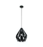 Eglo Hanglamp Carlton 1 Staal Zwart | IP20 - Geschikt voor 1x E27 