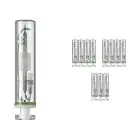 Voordeelpak 12x Philips MASTERColour PGJ5 CDM-Tm Elite Mini 35W - 930 Warm Wit | Beste Kleurweergave
