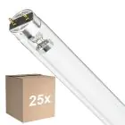 Voordeelpak 25x Philips T8 UV - C 17W - Ultraviolet | 60cm