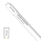 Noxion LED Buis T8 Avant (EM/Mains) Standard Output 15W 1800lm - 830 Warm Wit | 120cm - Vervangt 36W