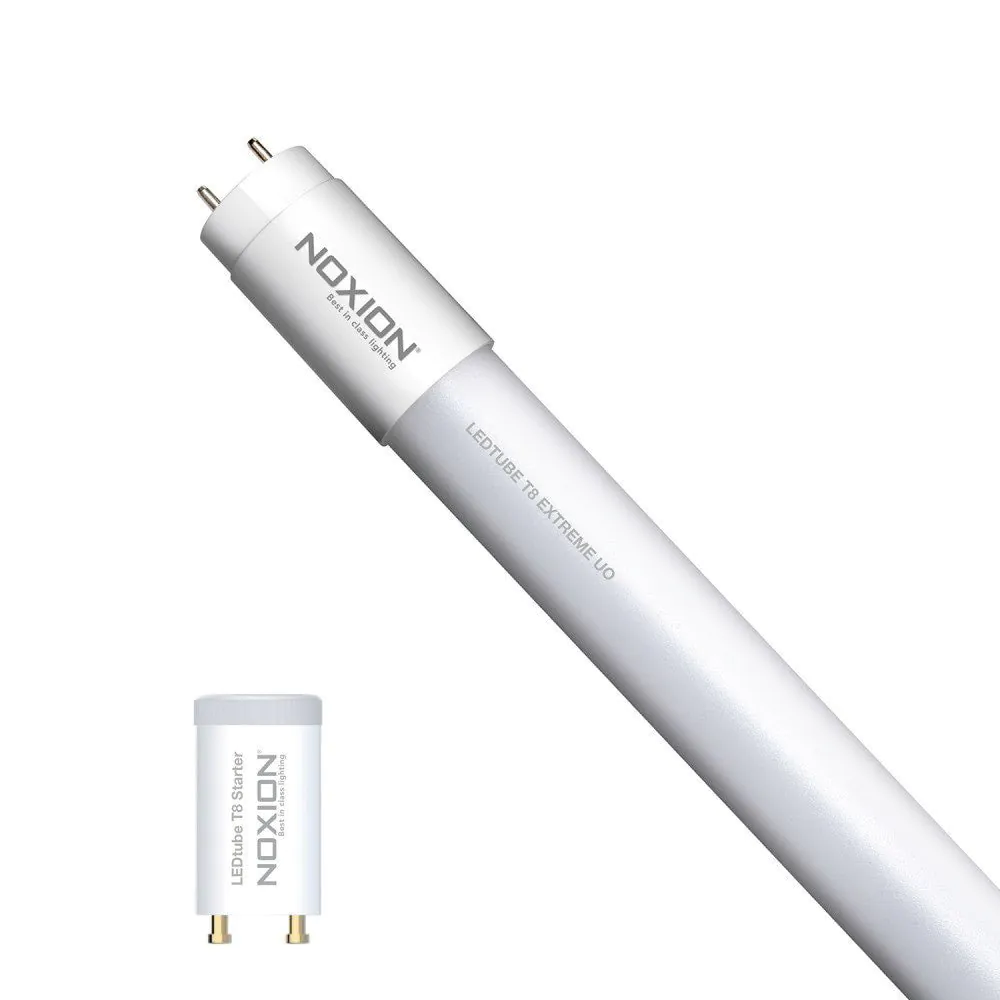 Noxion LED T8 buis